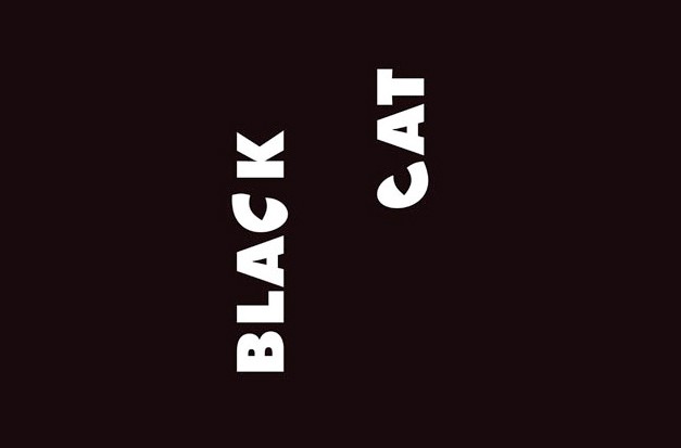 Black Cat logo black cat
