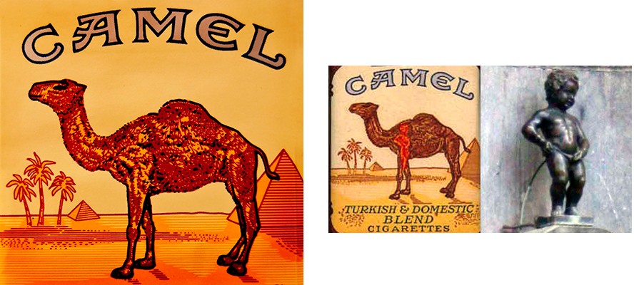 camel logo Hope for African Children