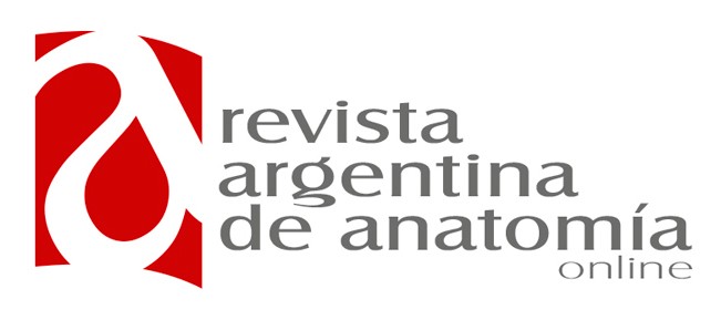 Revista Argentina de Anatomia Online logo revista argentina de anatomia online