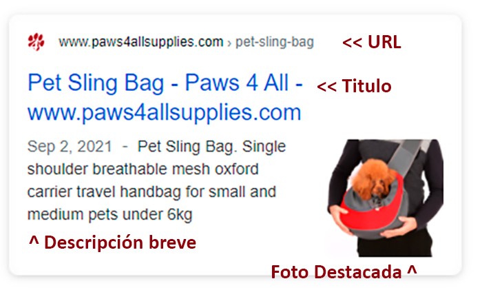 visualizacion seo en google