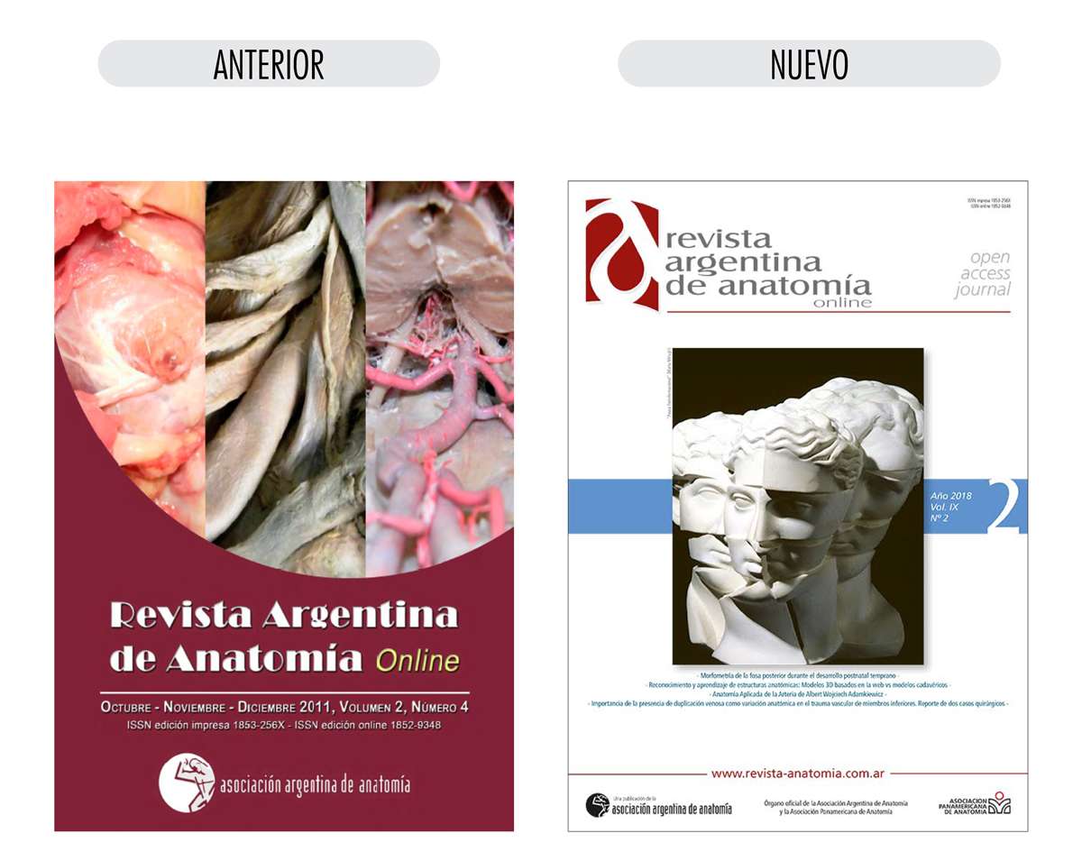 Revista Argentina de Anatomia Online old new Revista Argentina de Anatomia Online old new