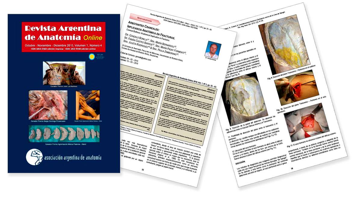 revista anatomia anterior revista anatomia anterior