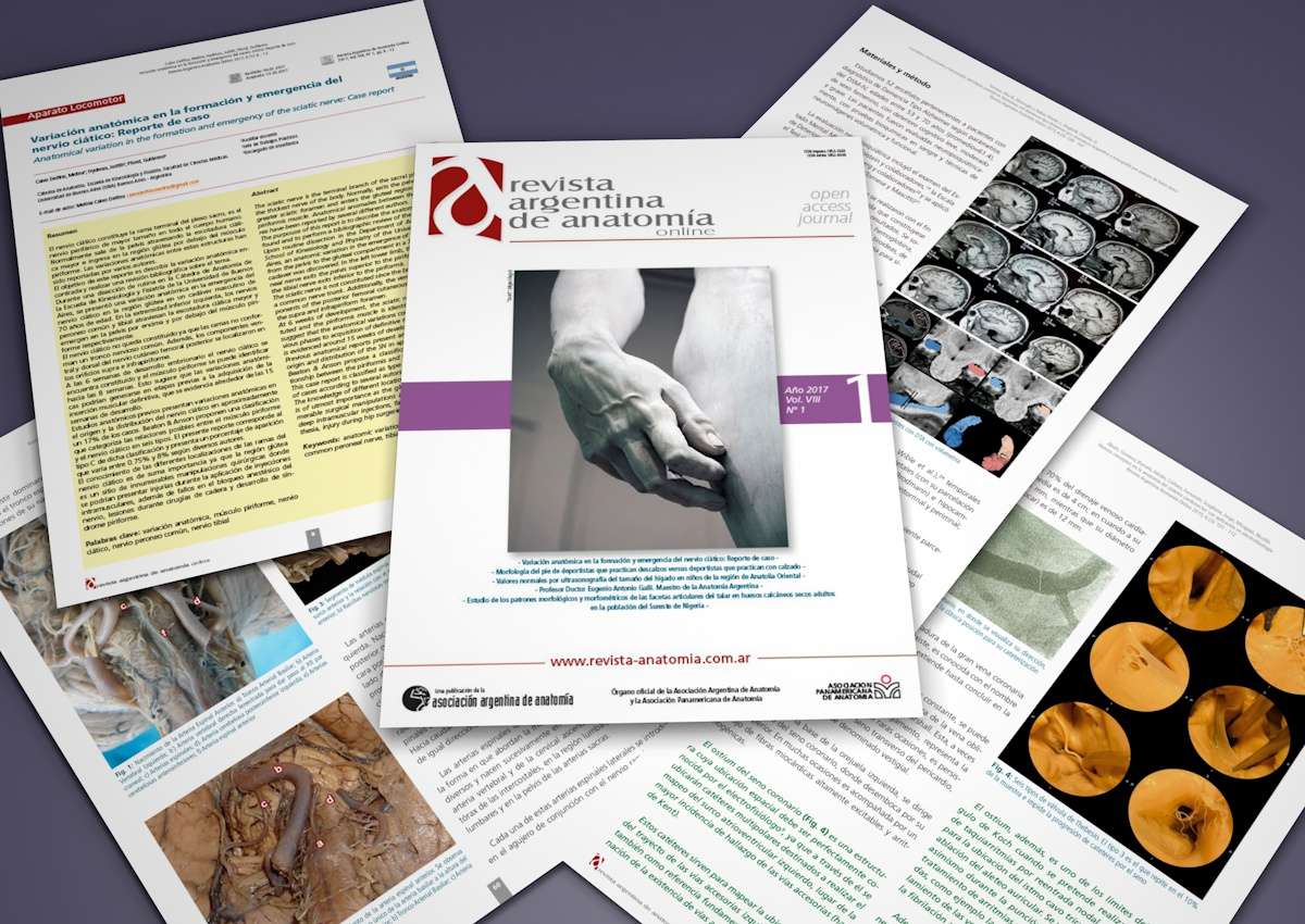 revista anatomia nueva revista anatomia nueva