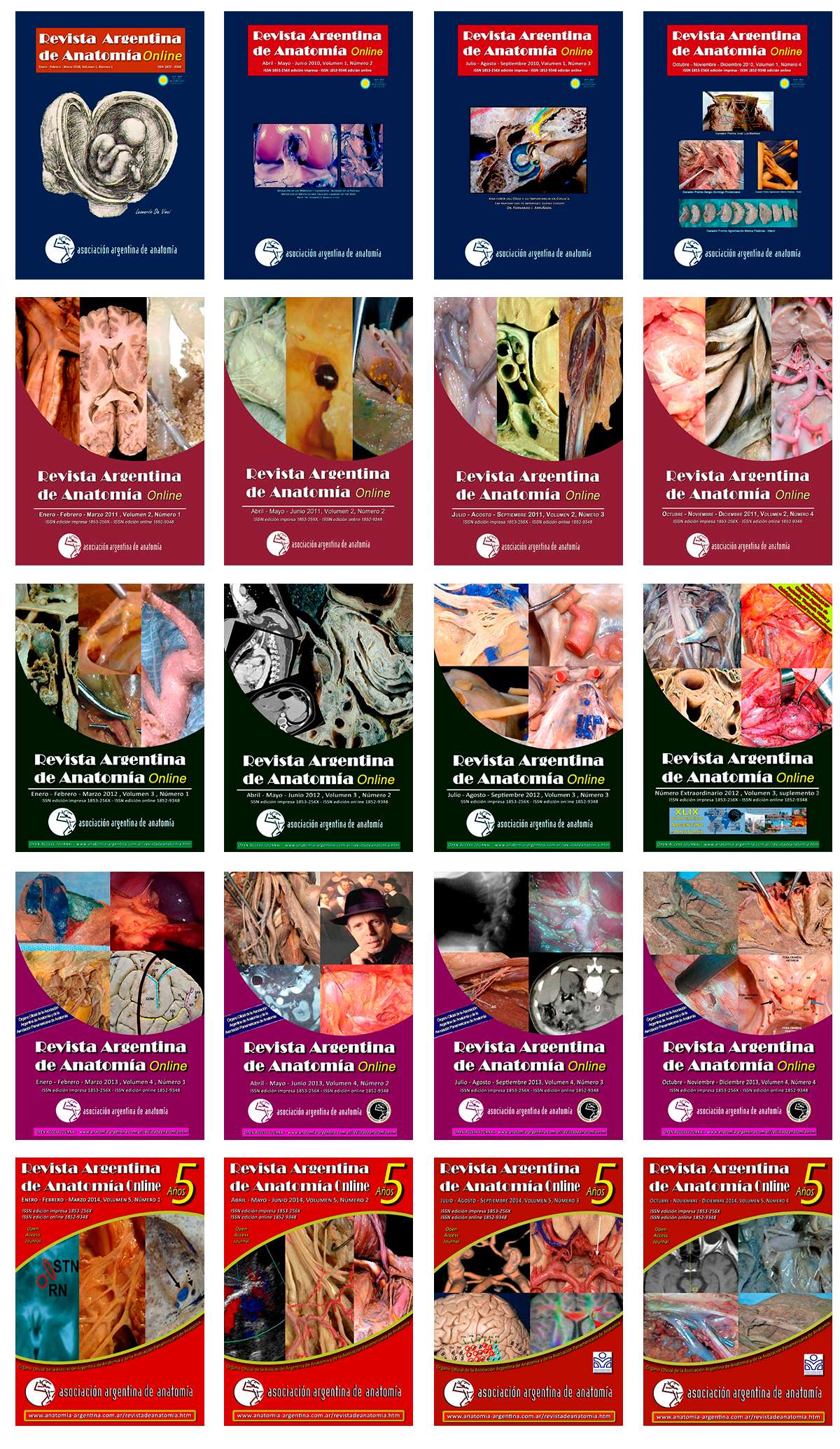 Revista Argentina de Anatomia Online old design Revista Argentina de Anatomia Online old design