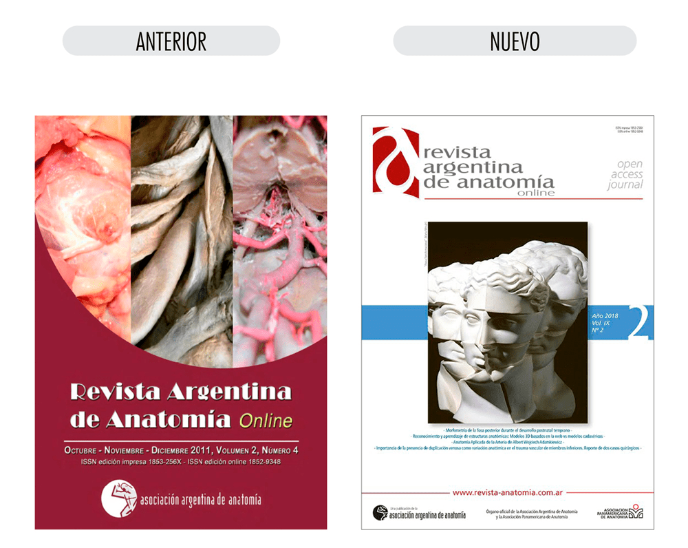 Revista Argentina de Anatomia Online old new Revista Argentina de Anatomia Online old new