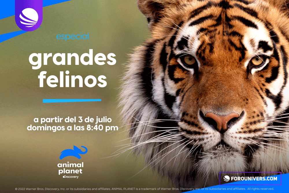 animal planet publicidad