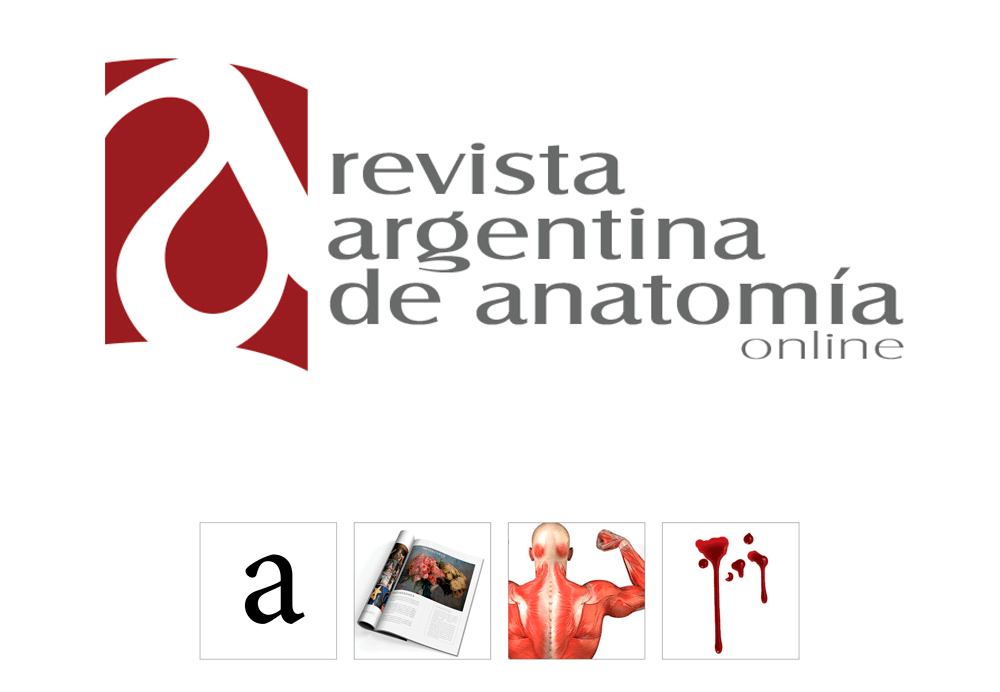 logo RAA concepto logo RAA concepto